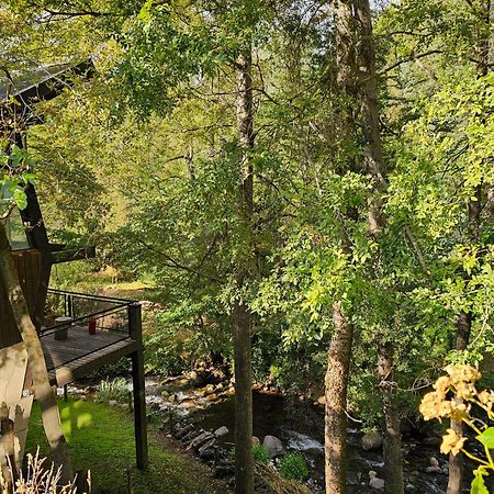 Das Rosenhaus Apart Hotel By Rosas Blancas San Martin de los Andes Exterior photo