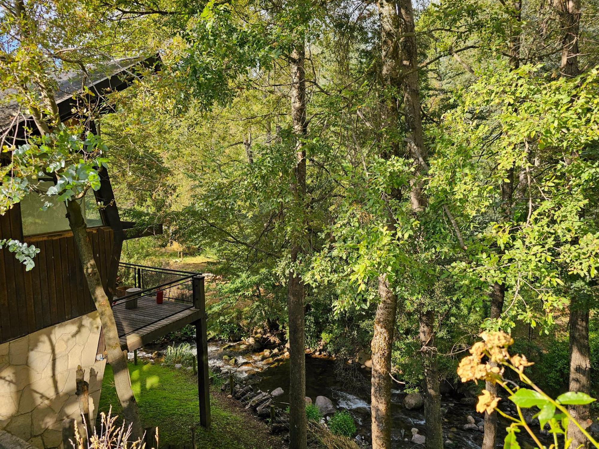 Das Rosenhaus Apart Hotel By Rosas Blancas San Martin de los Andes Exterior photo